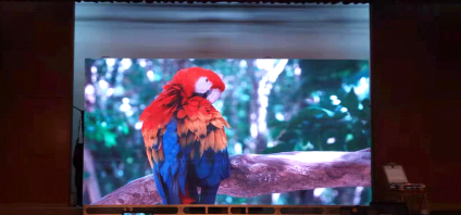 LED - R Series Mounted 2.6mm